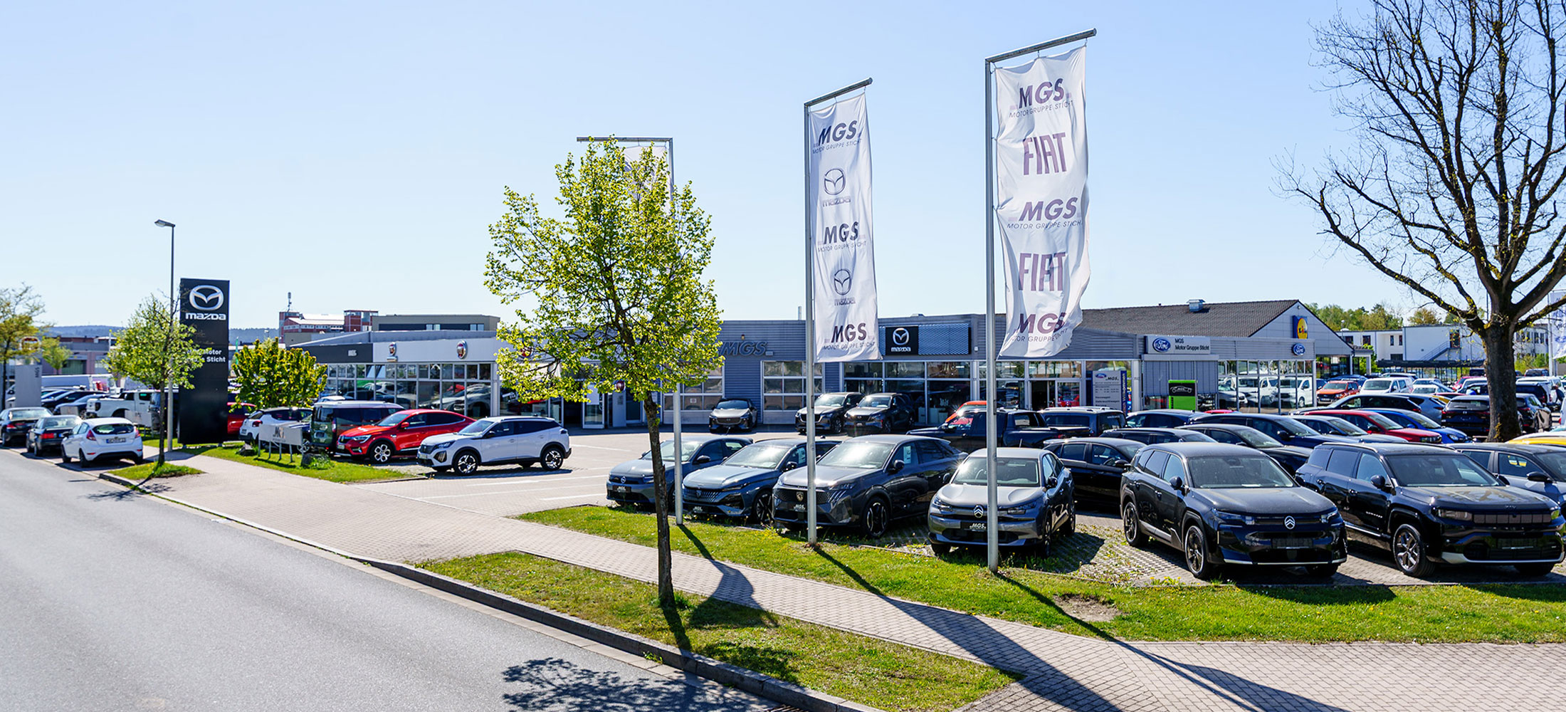 MGS Standort in Weiden